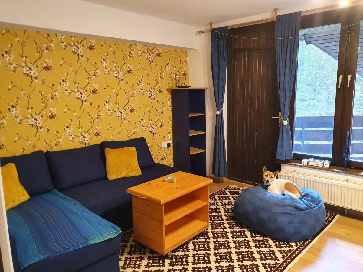 M & M Apartment Krvavec Cerklje na Gorenjskem Zewnętrze zdjęcie